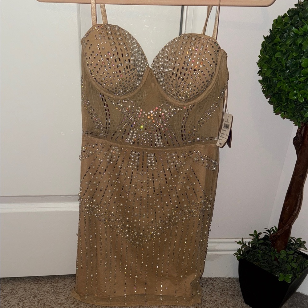 Stunning Windsor Elegant Tan Embellished Dress (NWT)